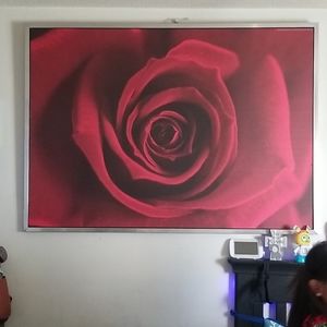 Rose frame